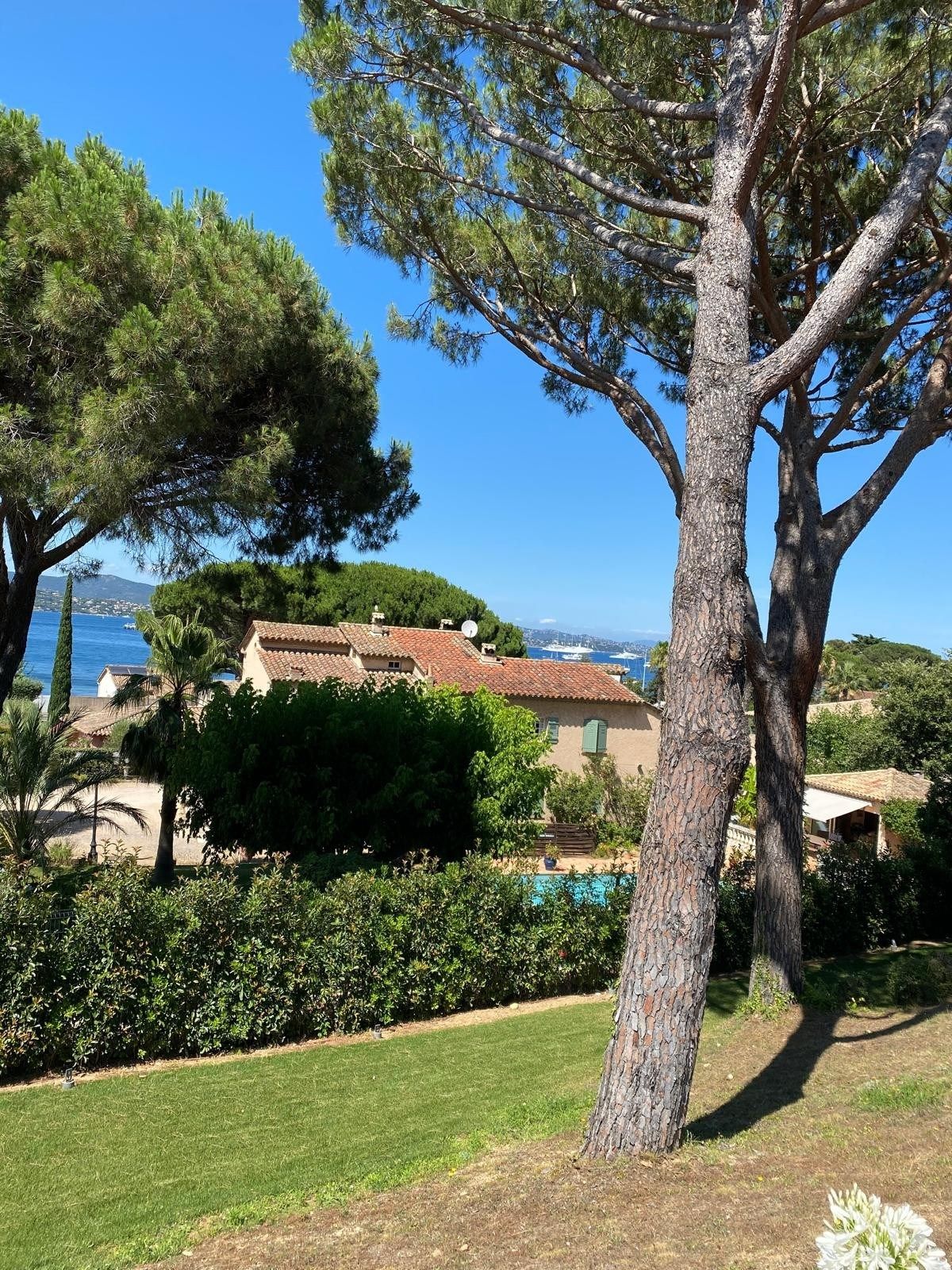 maison 10 Pièces en vente sur GASSIN (83580)