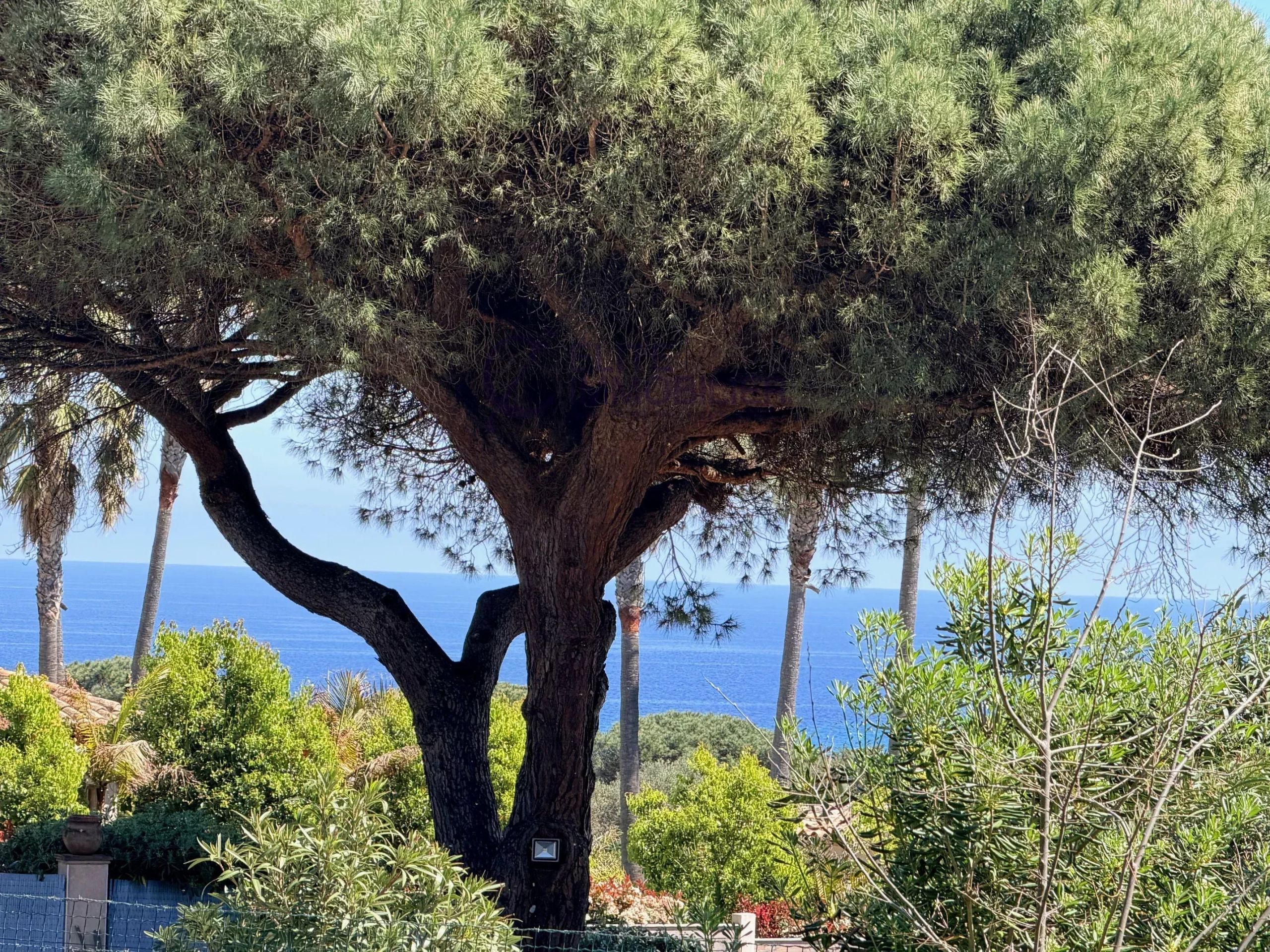 villa 7 Pièces en vente sur Ramatuelle (83350)