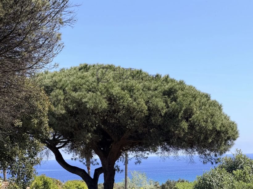villa 7 Pièces en vente sur Ramatuelle (83350)