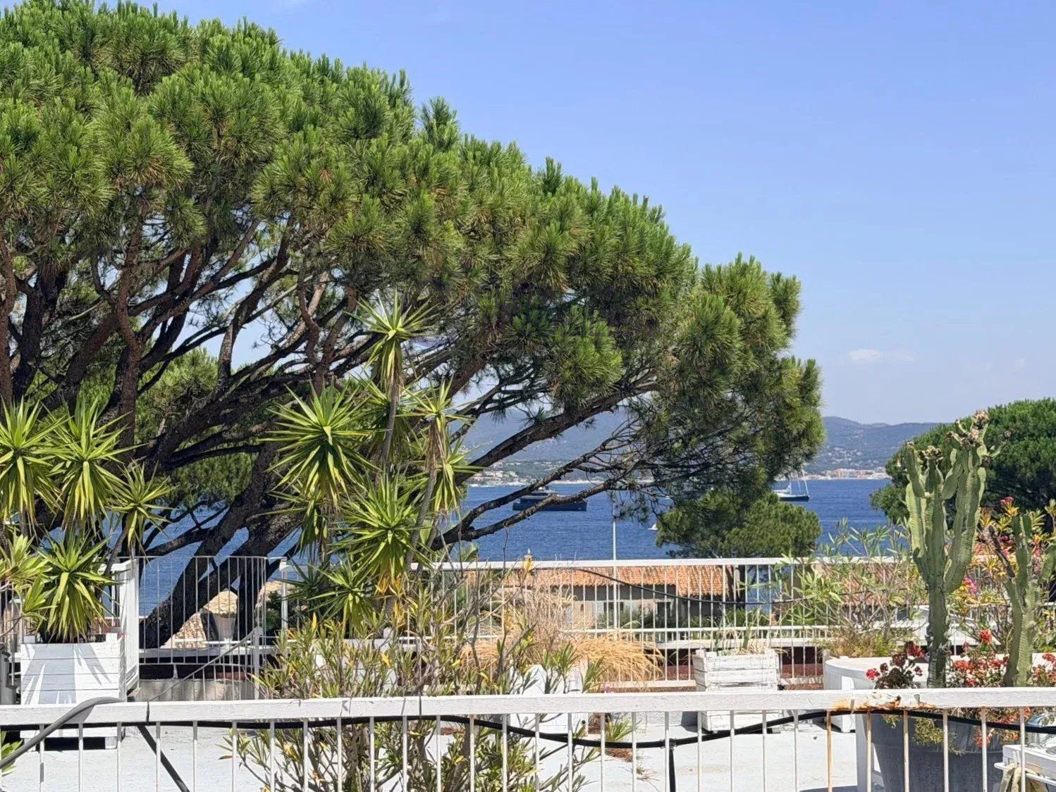 appartement 2 Pièces en vente sur Saint-Tropez (83990)