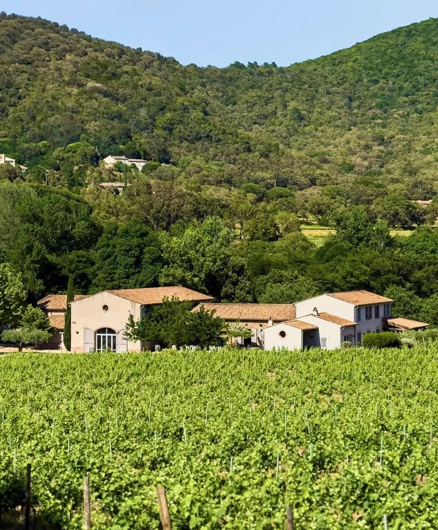 propriété viticole 10 Pièces en vente sur La Môle (83310)