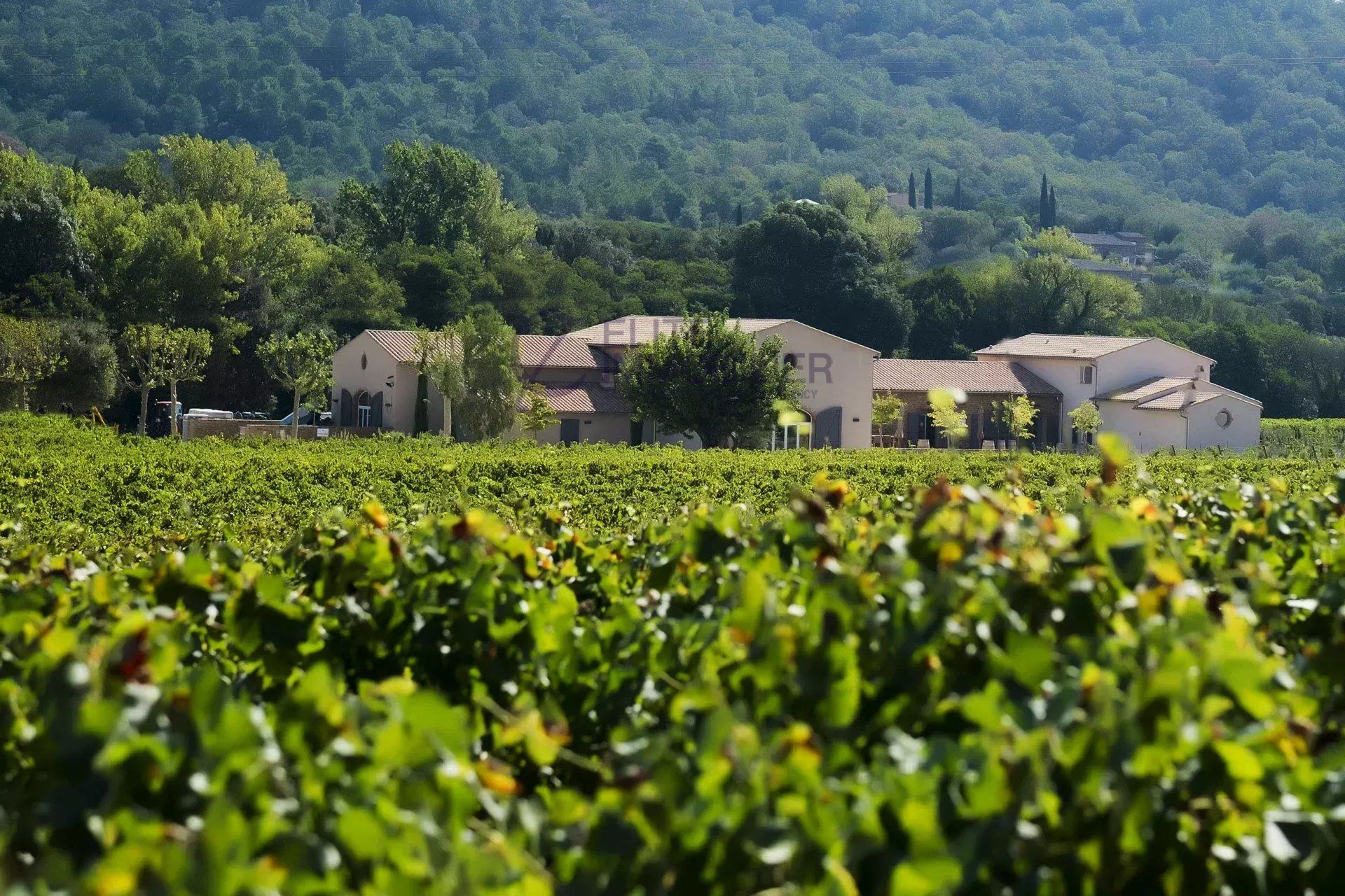 propriété viticole 10 Pièces en vente sur La Môle (83310)
