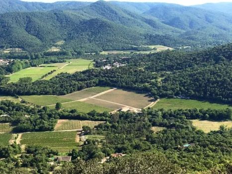 Vente Propriété viticole La Môle 10&nbsp;Pièces