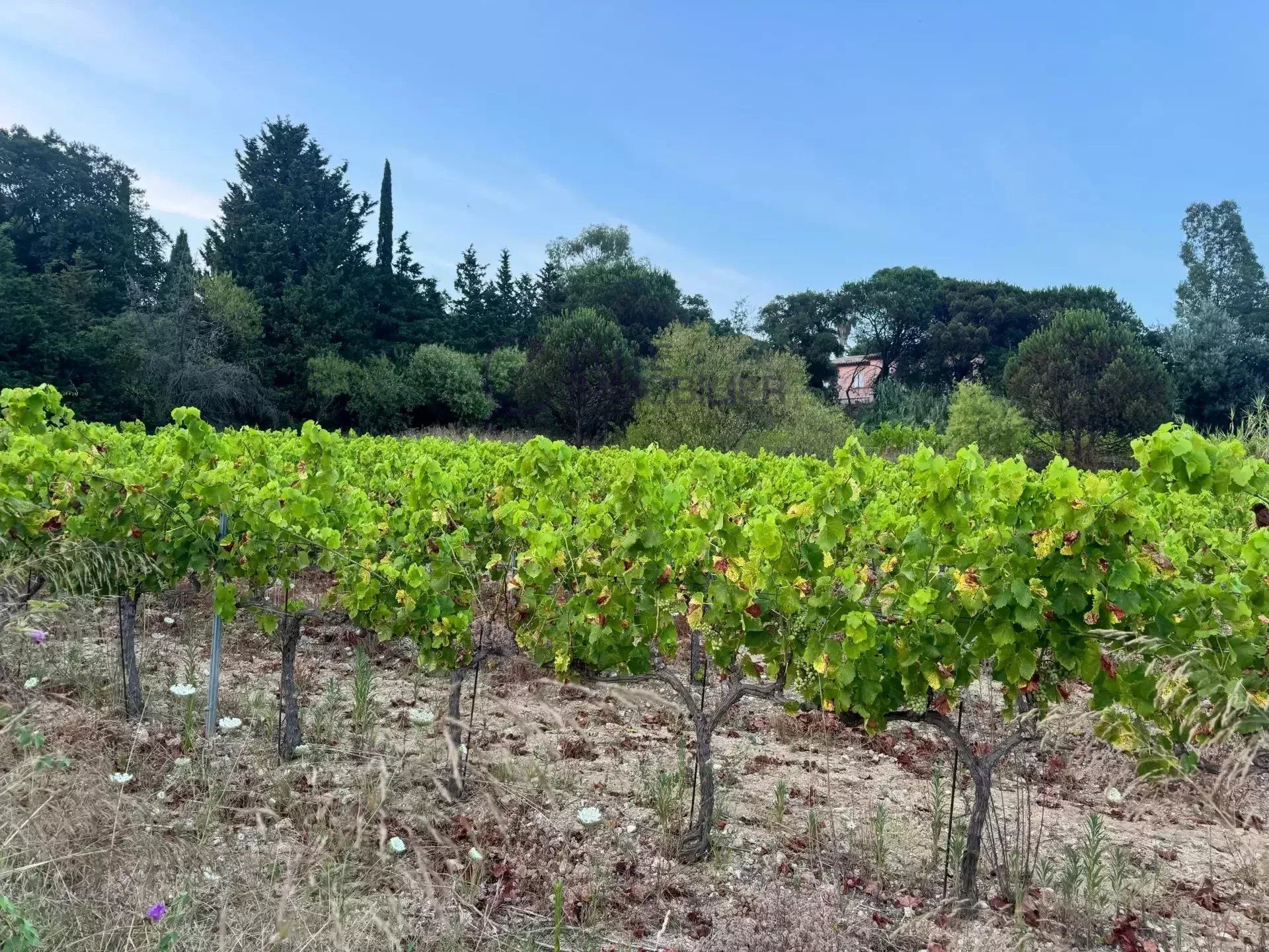 maison 8 Pièces en vente sur Saint-Tropez (83990)