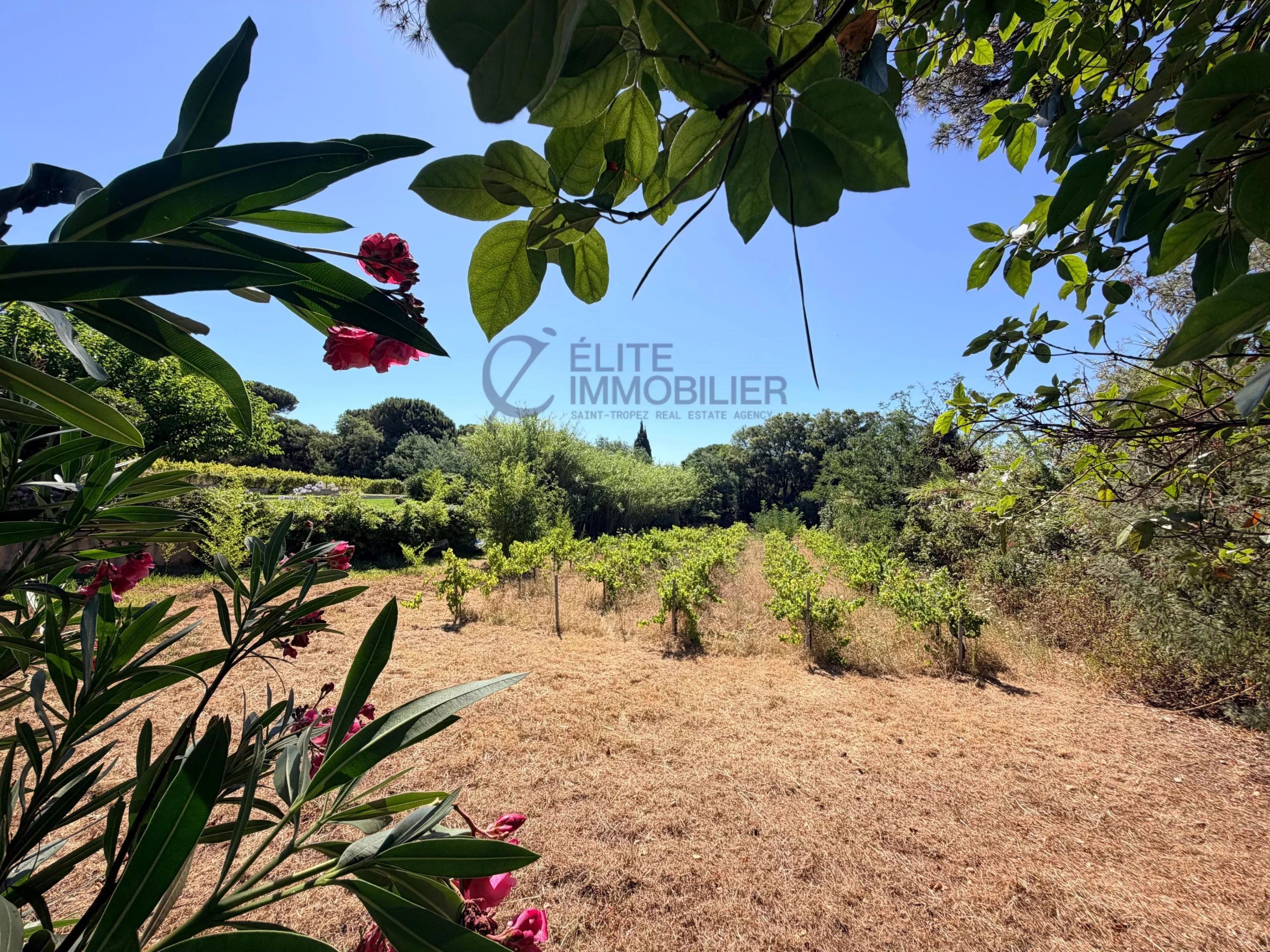 maison 8 Pièces en vente sur Saint-Tropez (83990)