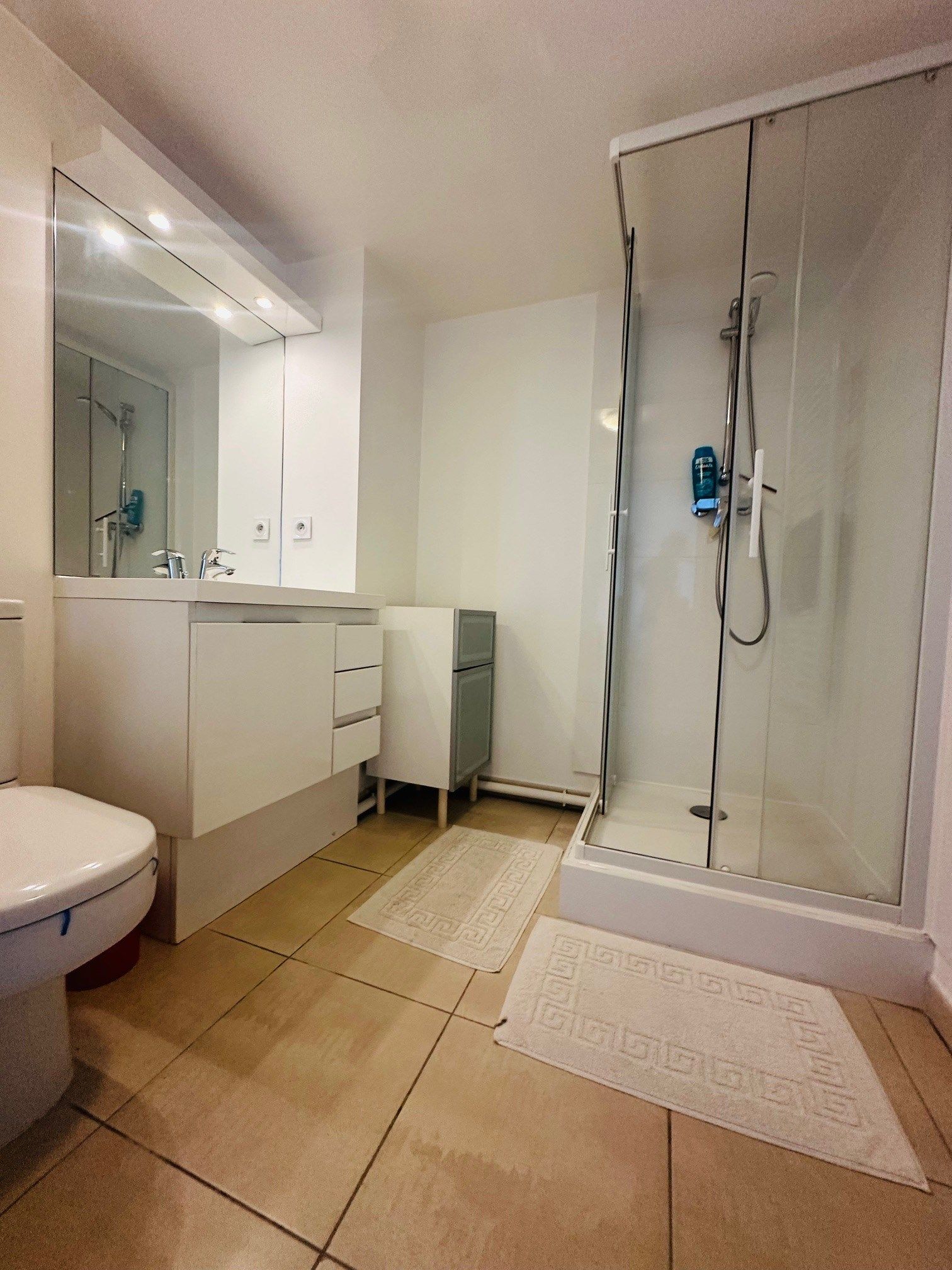 appartement 2 Pièces en vente sur COGOLIN (83310)