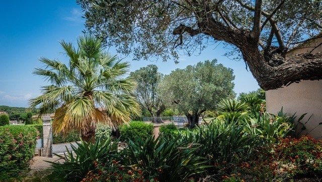 villa 10 Pièces en vente sur ST TROPEZ (83990)